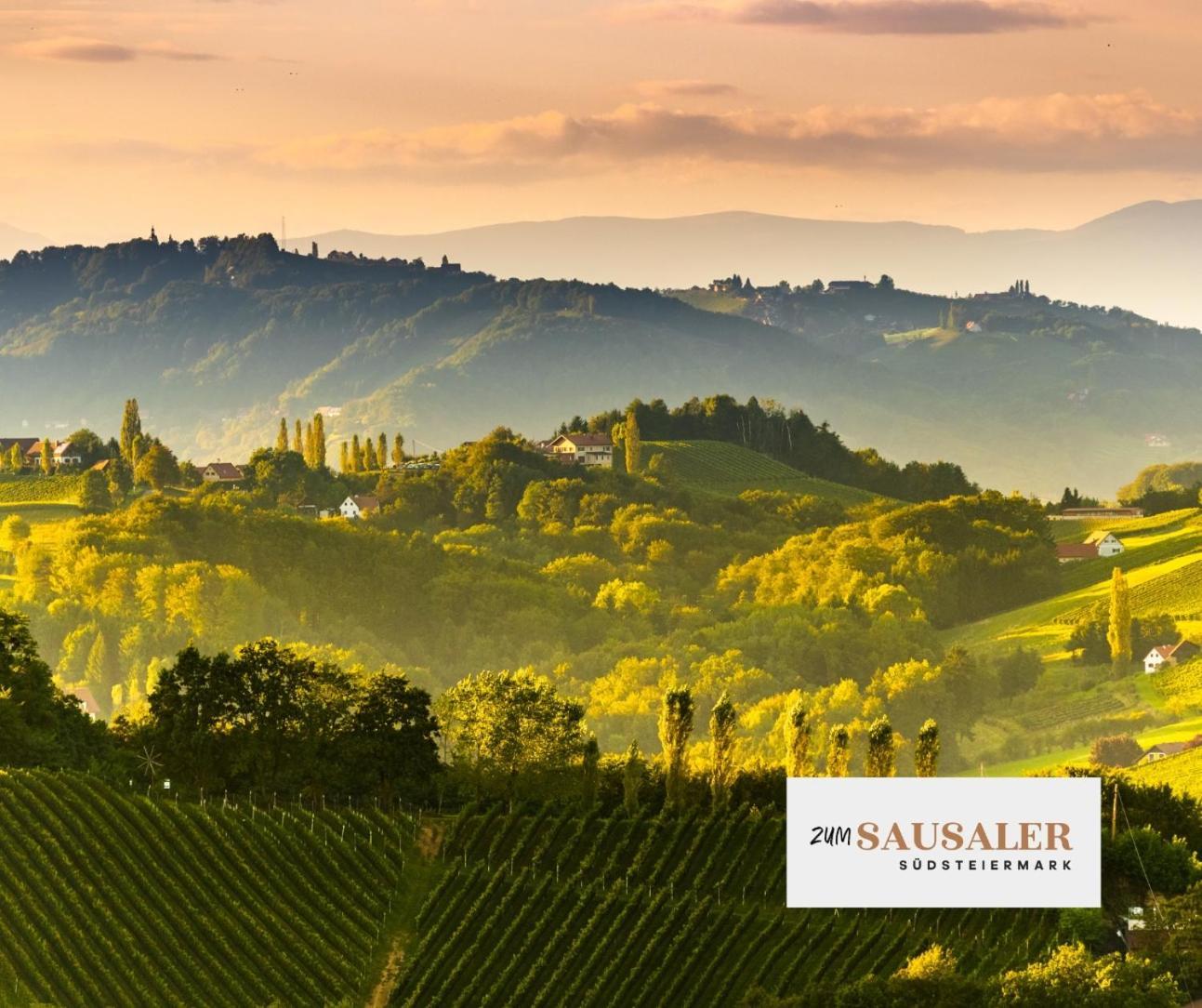 Zum Sausaler - Boutique Hotel-Pension Suedsteiermark Sankt Nikolai im Sausal Экстерьер фото